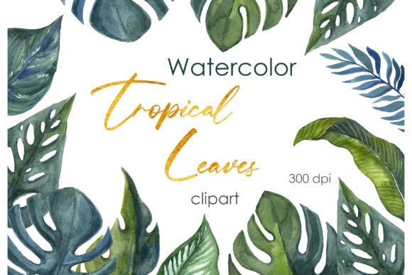 Elevate Your Designs with Vibrant Watercolor Clipart: Tropical Floral PNG Collections