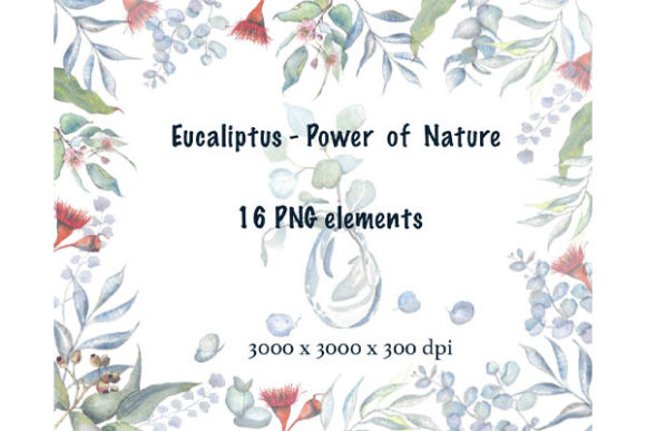 Elevating Design with Authentic Watercolour Eucalyptus Elements