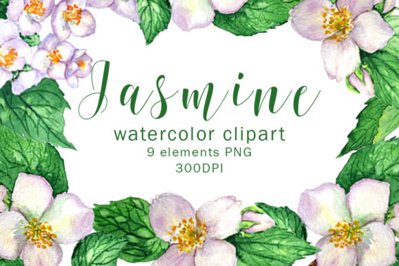 Evaluating Jasmine Watercolor Assets for Creative Projects