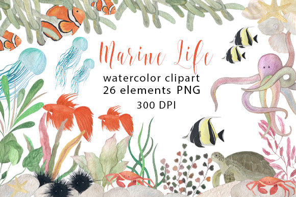 Marine Life Watercolor Art for Creative Projects