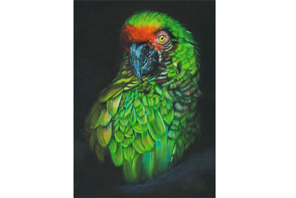 Strategic Branding with Green Parrot Imagery: A Guide to Intentional Design