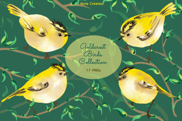 Unlocking Creative Potential with Emerald Green Goldcrest Birds Clip Art